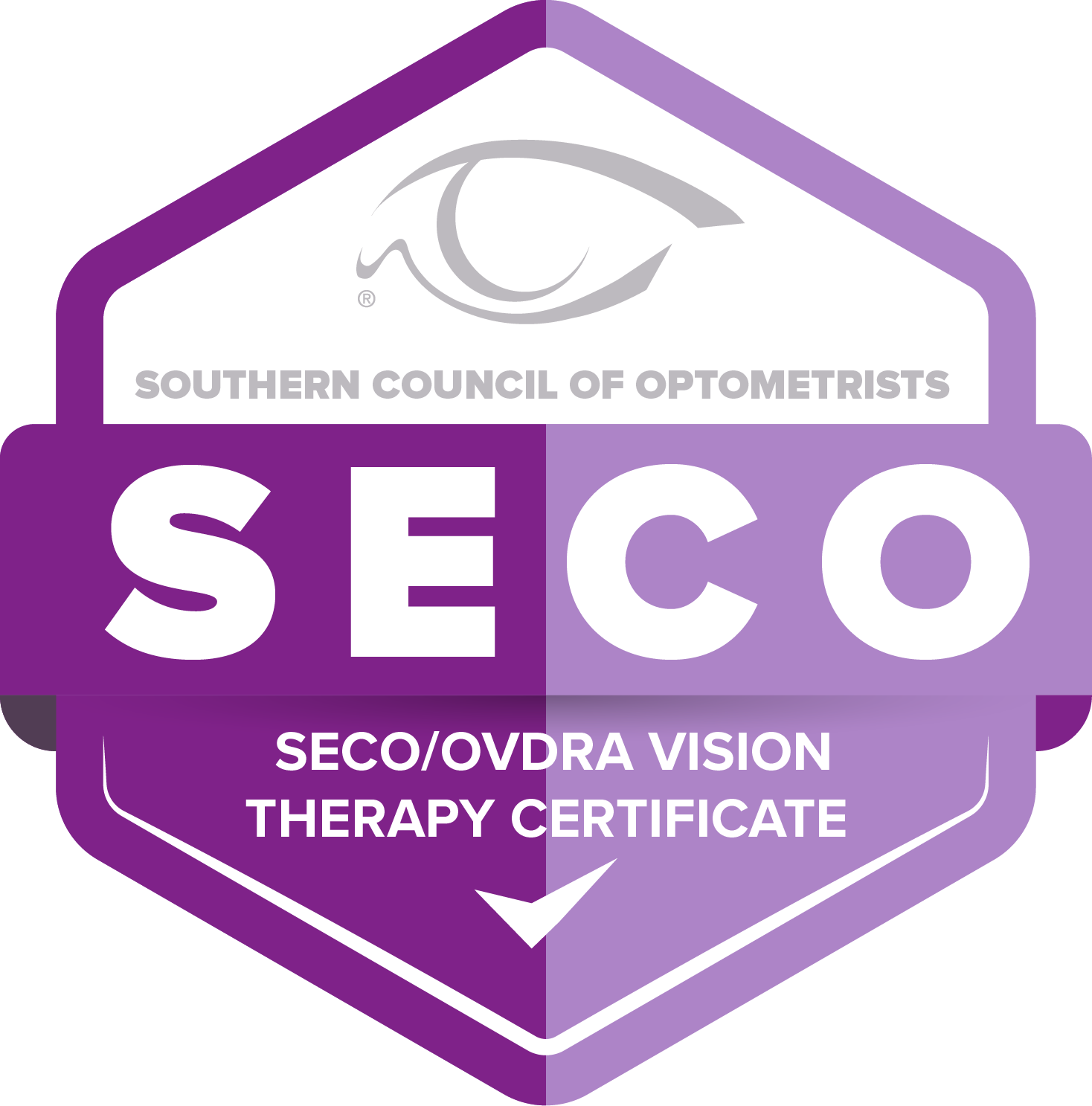 Certificate Program 2025_Vision Therapy