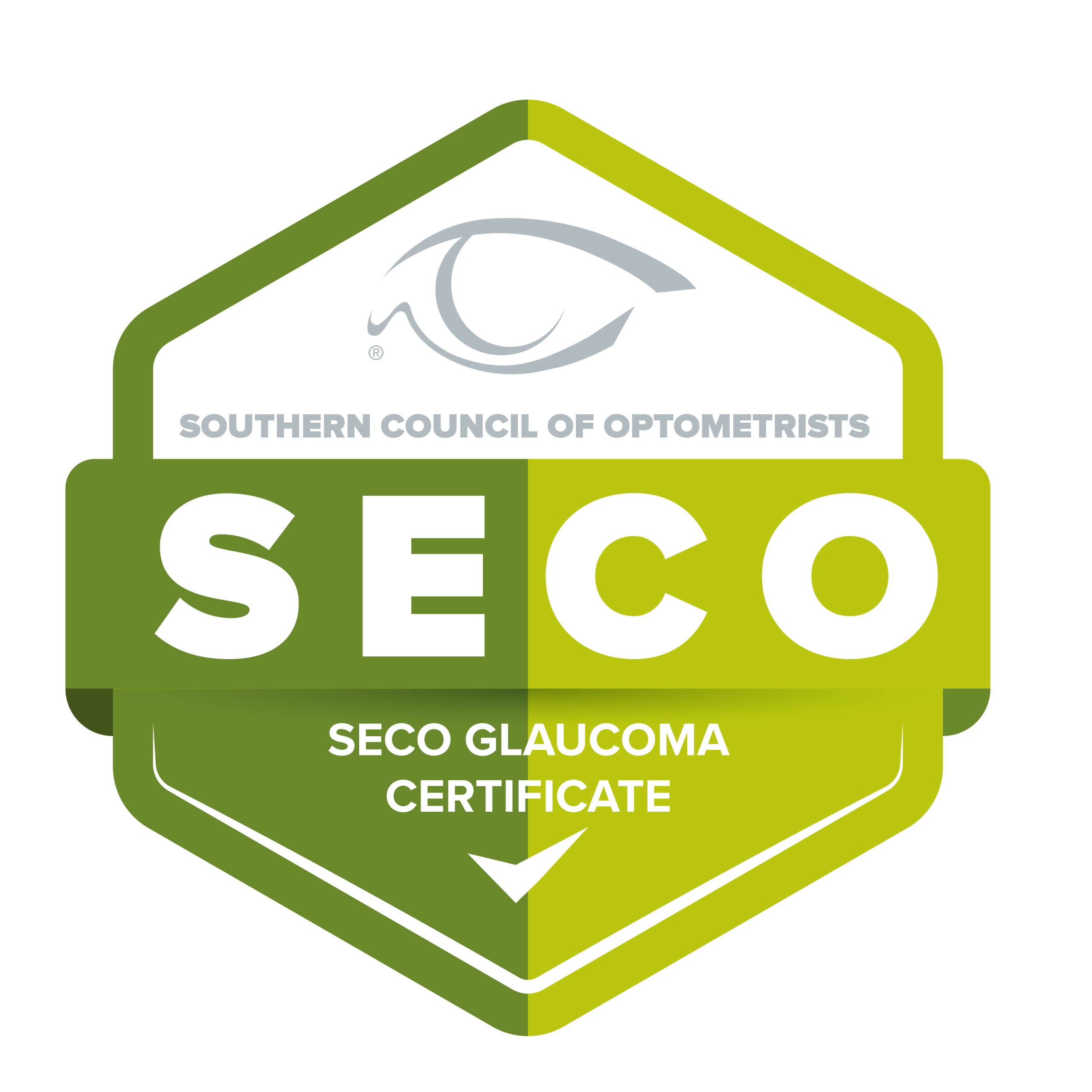 Glaucoma Icon